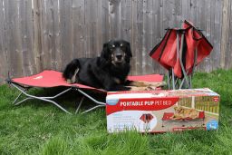 dog laying next to a Carlson Pet Products Portable Pet Bed | The Kas Pack