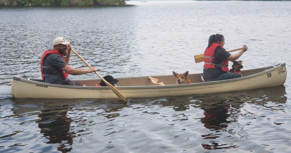 two people and 3 dogs in a canoe | Is It Safe to Canoe With a Dog?