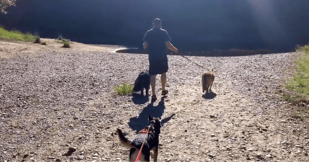 three dogs and a man walking onto beach | Chutes Provincial Park: Video Review