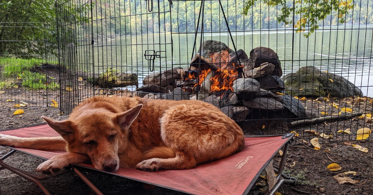 dog laying on raised bed by campfire | Holiday Gift Guide for Adventure-Loving Pets and Pet Parents