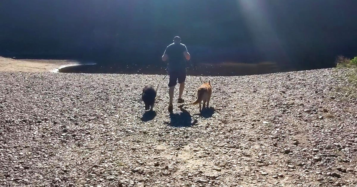 man running toward body of water with two dogs | How to Train Your Dog for Hiking