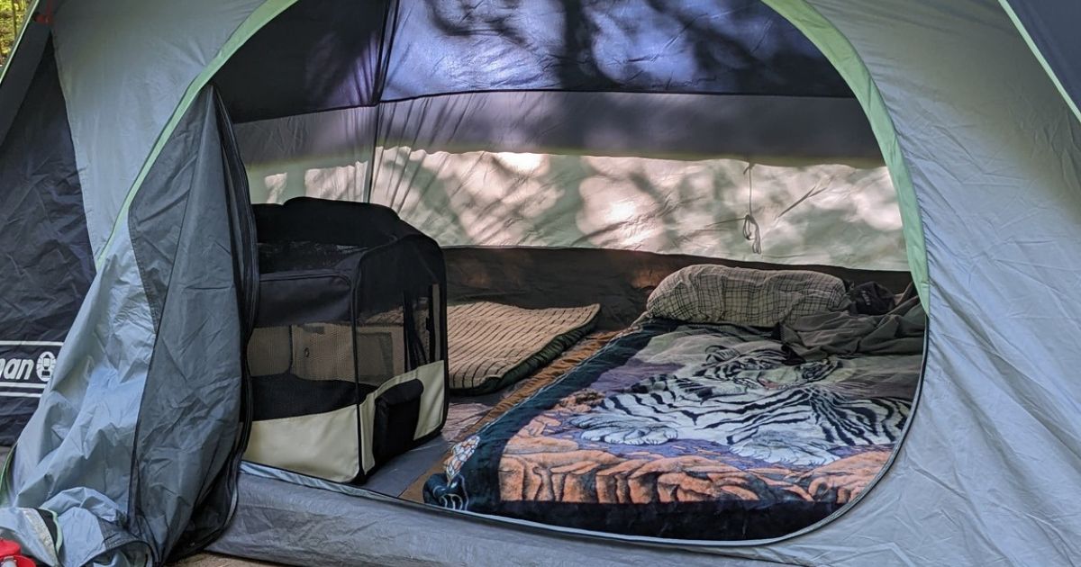 tent set up with beds and a pet playpen | How to Choose the Best Tent for Camping with Dogs (and Cats)