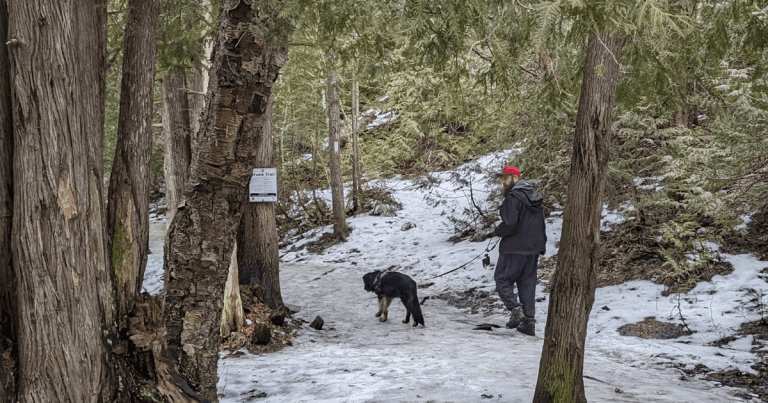 Hiking the Bruce Trail with Dogs (and Cats)