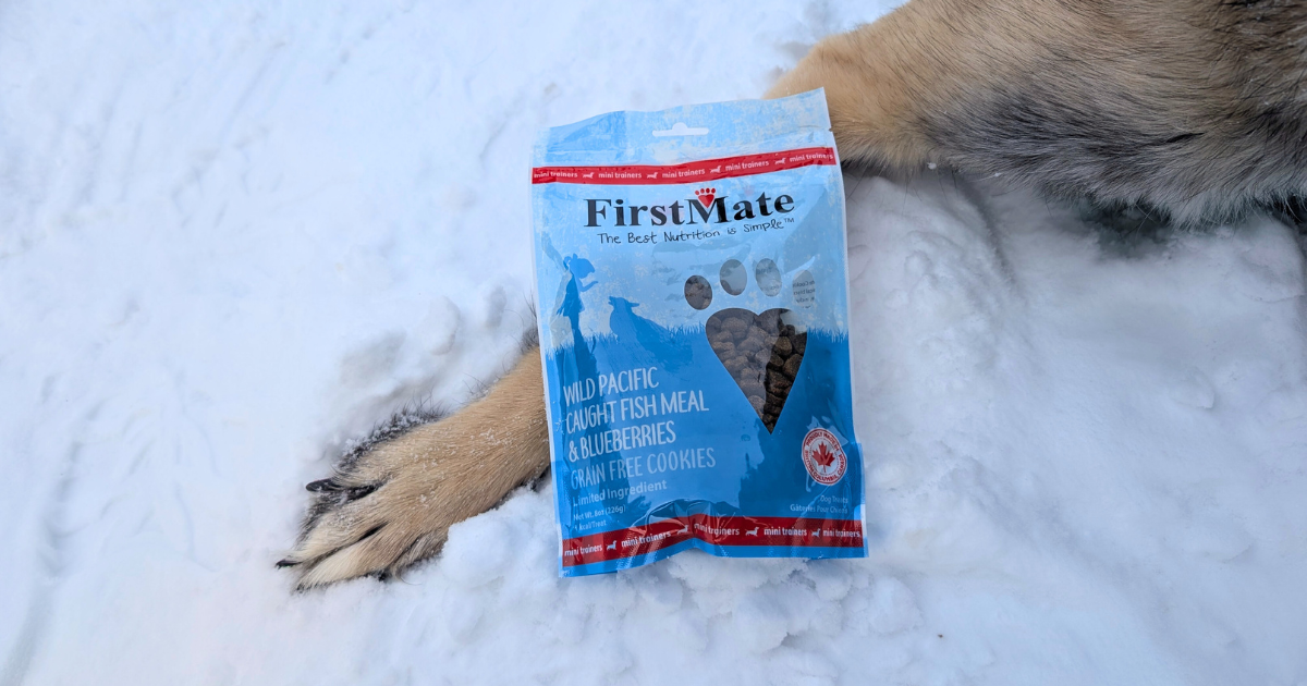 package of dog treats resting against a dogs paw in the snow | Shop Canadian: A Guide to Canadian Brands for Pet-Friendly Outdoor Travel Lovers