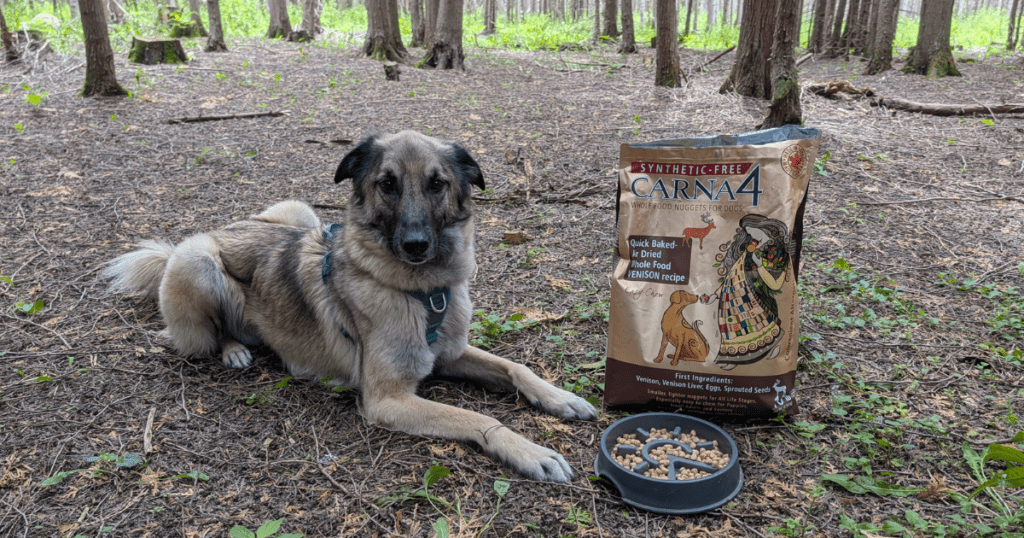 anatolian shepherd dog lying next to a bag of Carna4 | What We Feed Our Dogs When Camping and Hiking