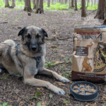 anatolian shepherd dog lying next to a bag of Carna4 | What We Feed Our Dogs When Camping and Hiking