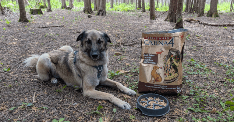 anatolian shepherd dog lying next to a bag of Carna4 | What We Feed Our Dogs When Camping and Hiking